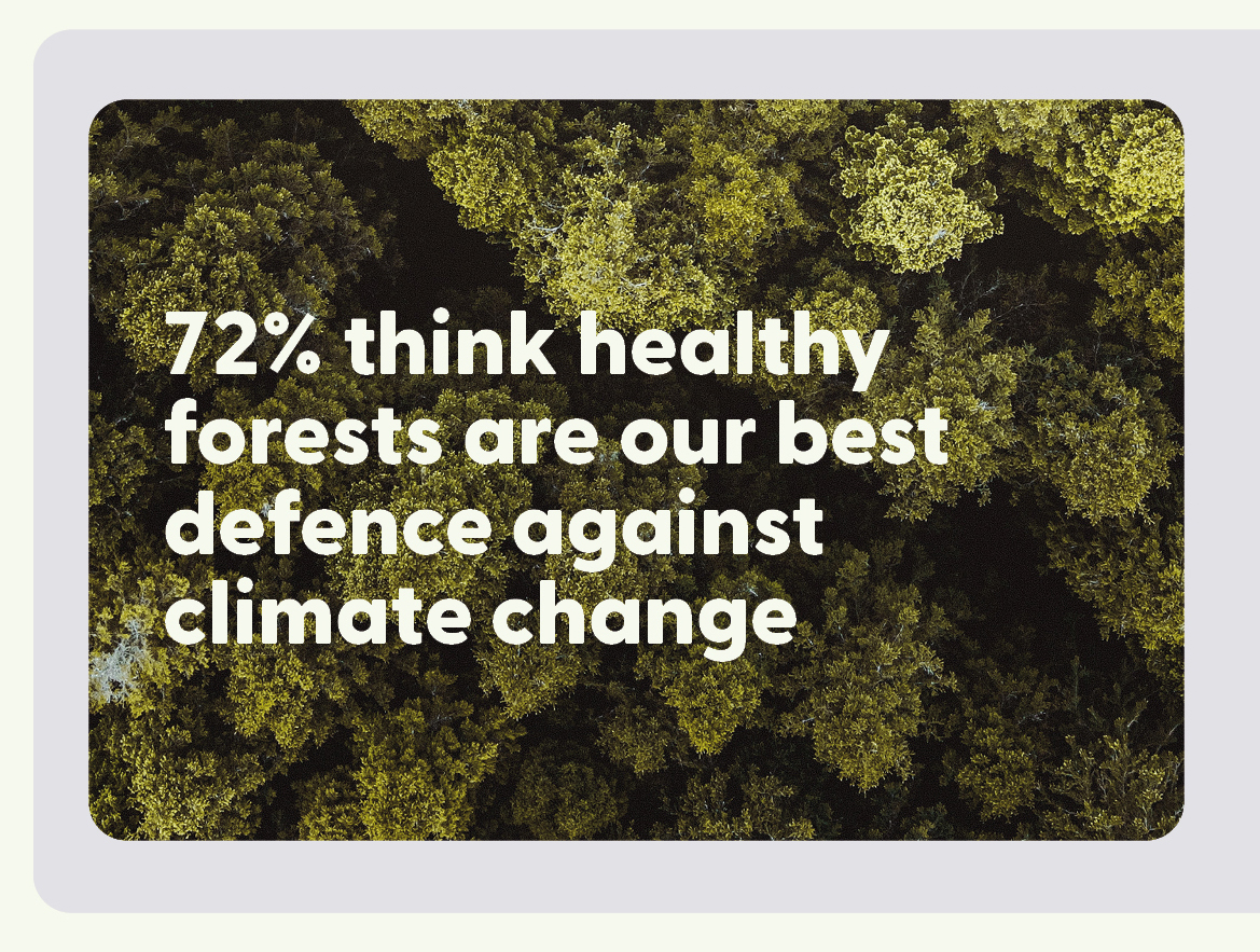 FSC UK Consumer Survey 2022 | Forest Stewardship Council