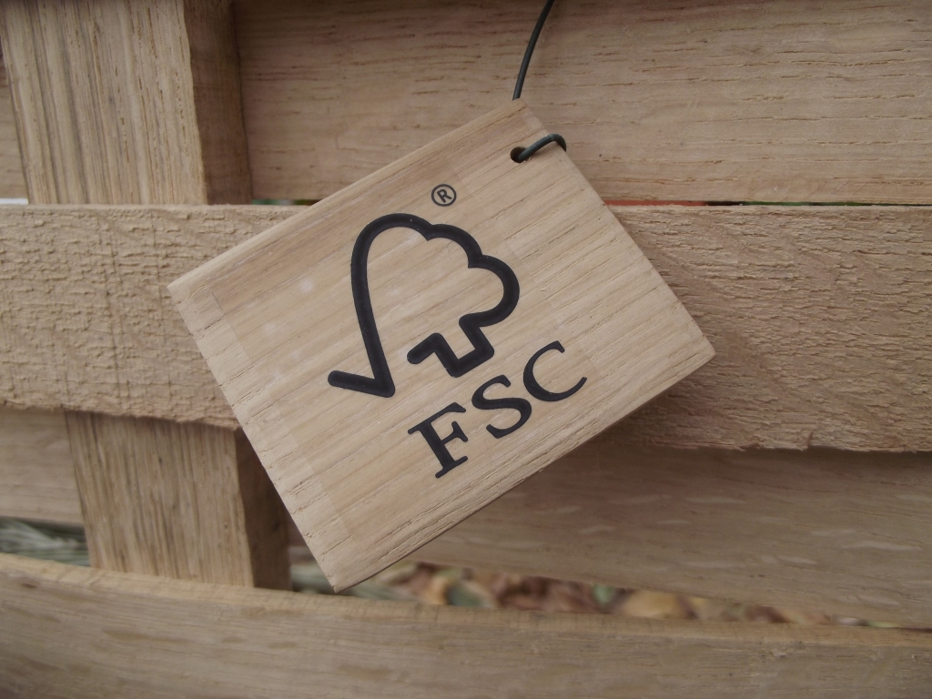 BBC Panorama Demonstrates Importance Of FSC Certification | Forest ...