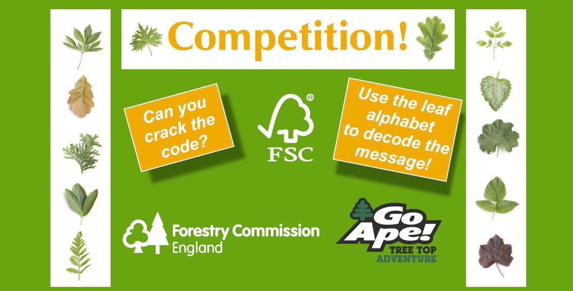 Code-Breaker Competition Winners Announced | Forest Stewardship Council UK