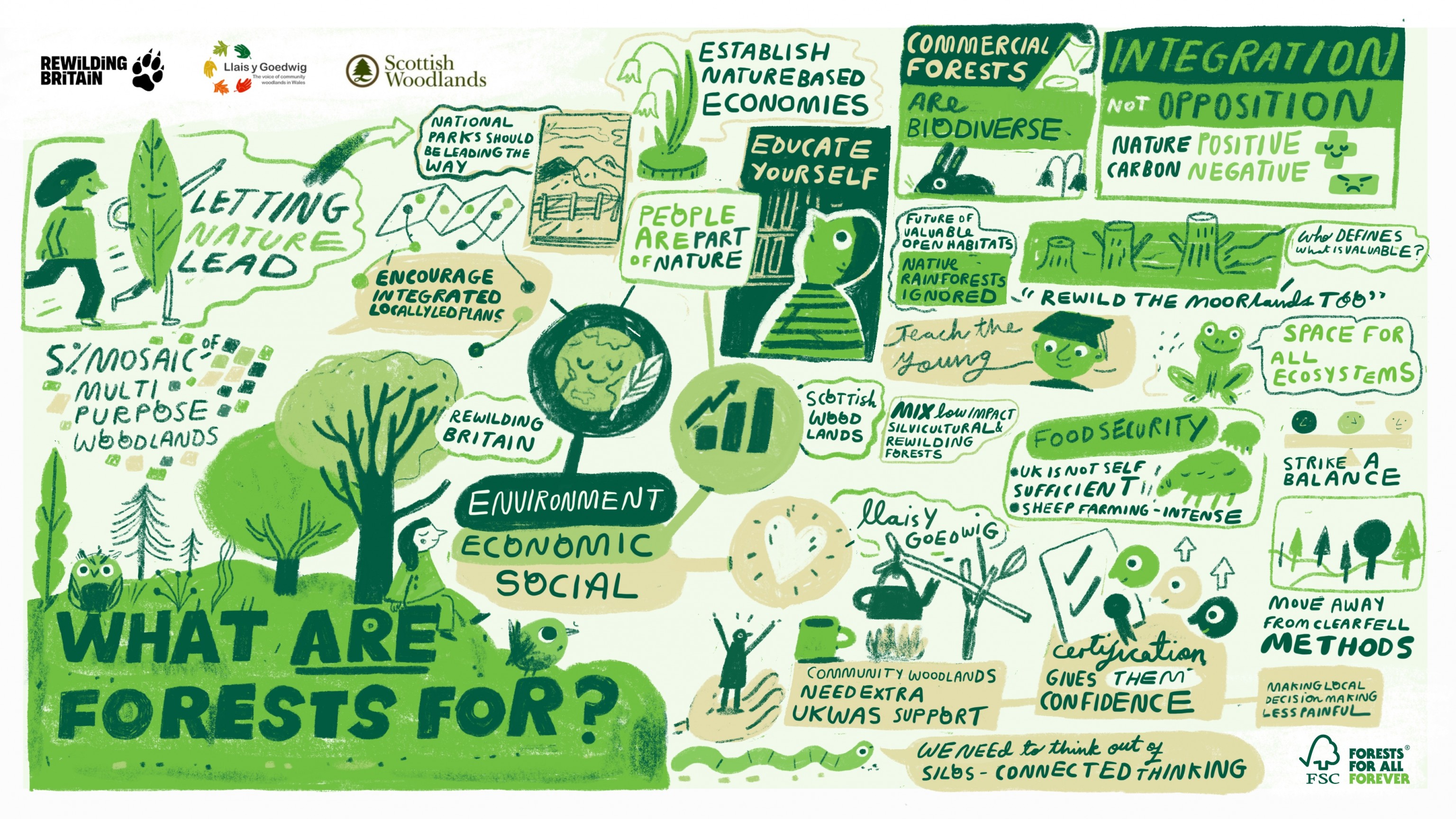 What Are Forests For? | Forest Stewardship Council UK