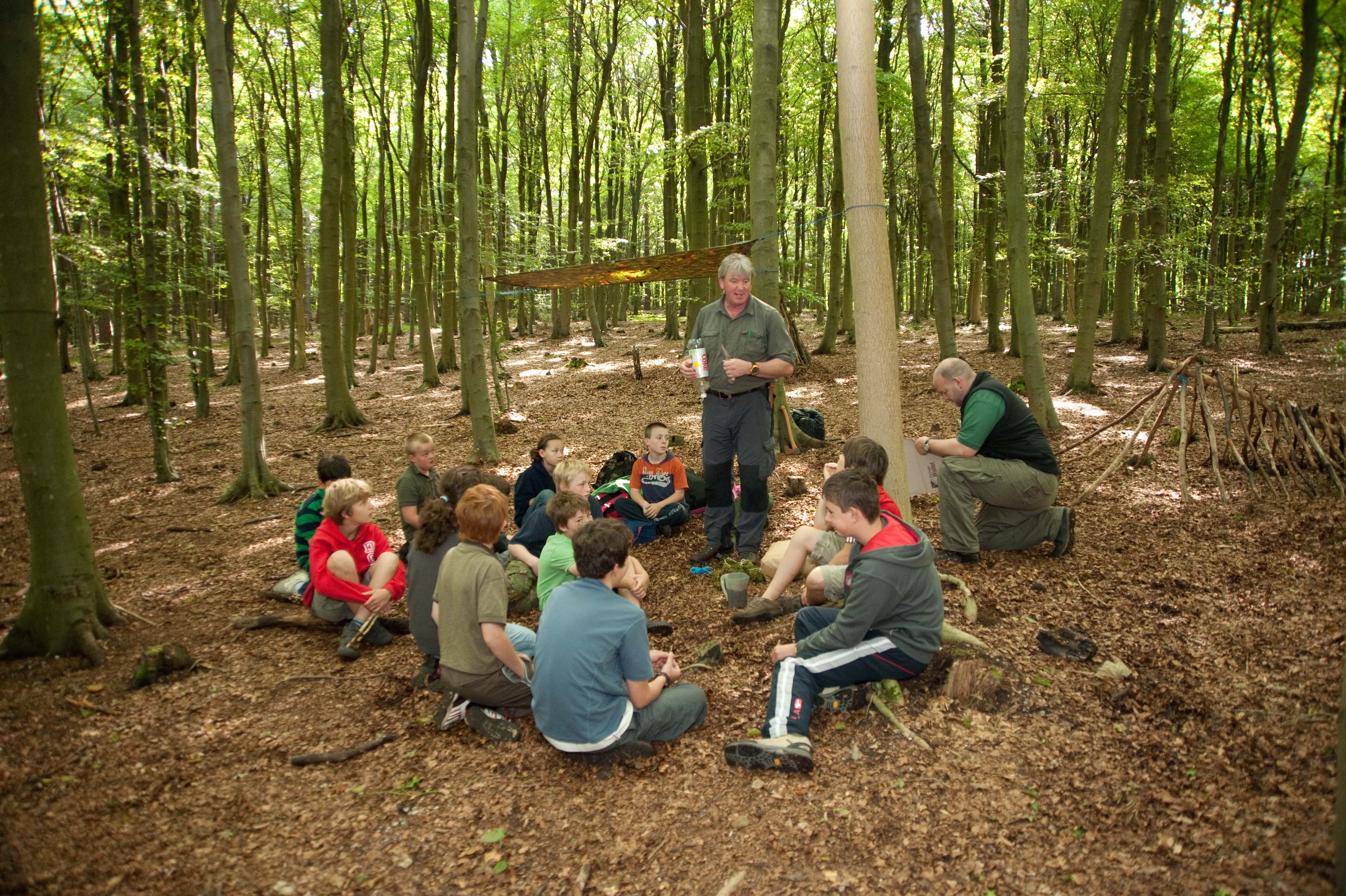Forest activities with children 