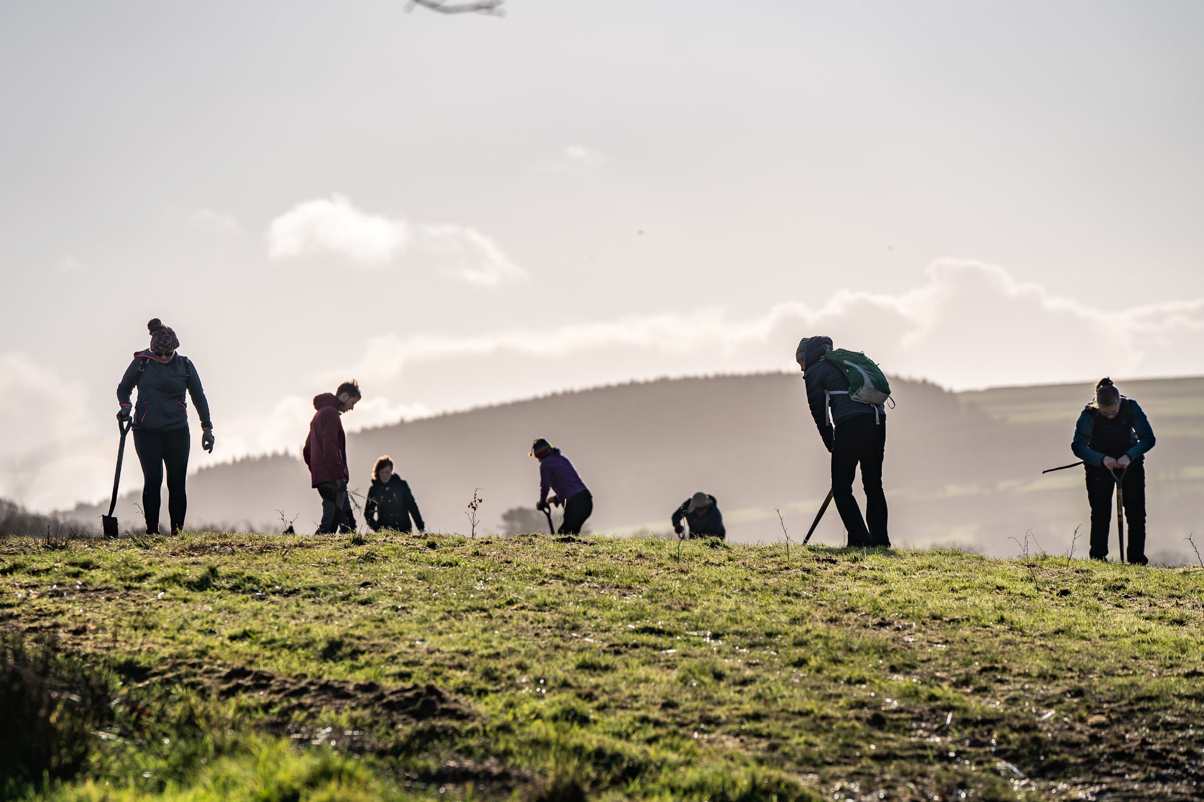 Tree planting at Brynau Farm