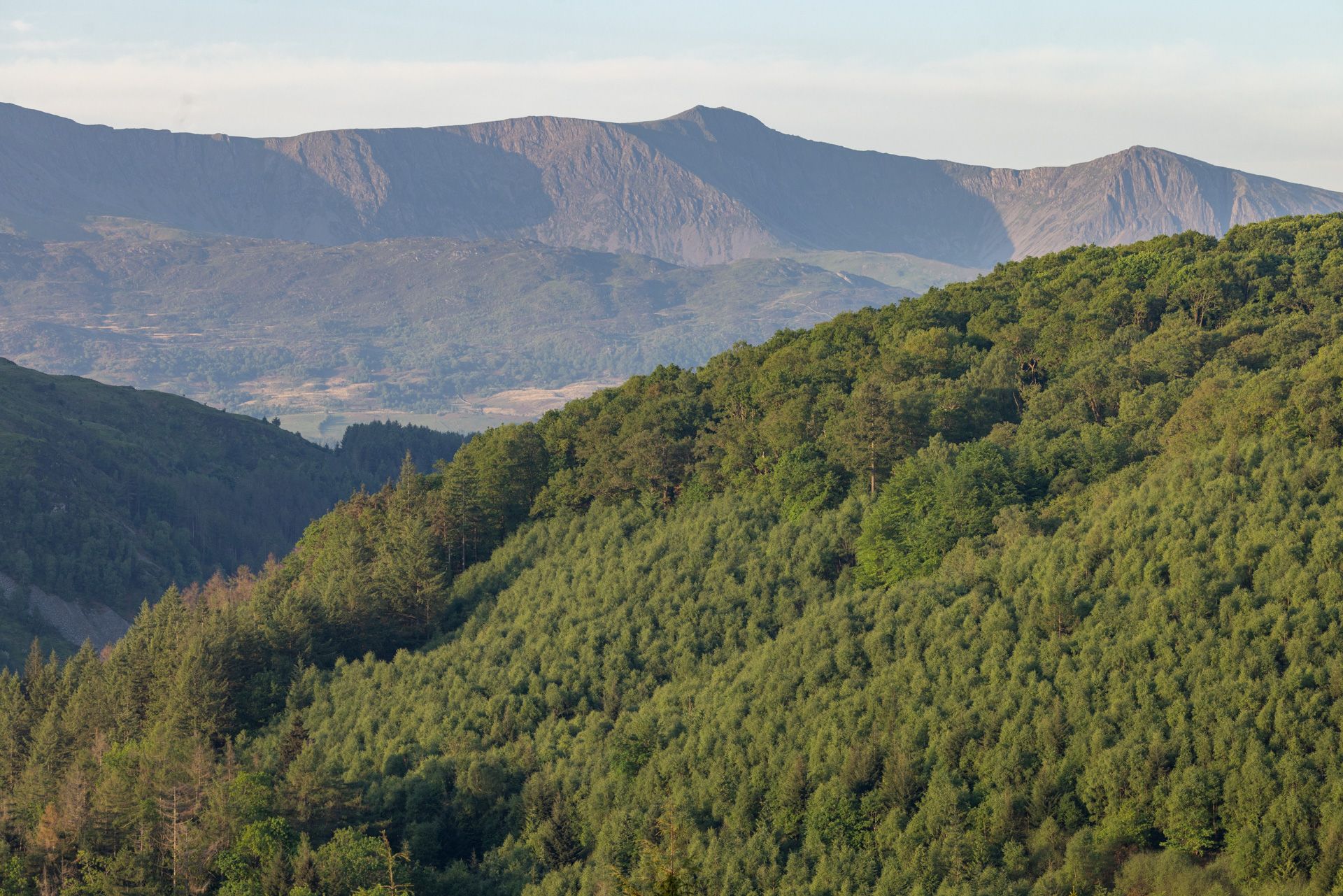  Dolmelynllyn with Coed y Brenin and Cadair Idris ©FSC/Ben Porter