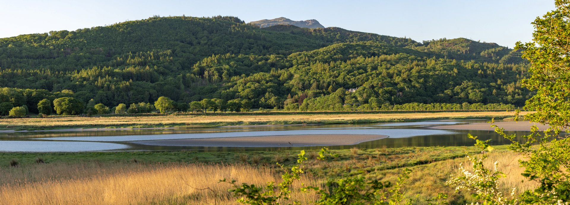 Coed Cae Fali National Trust ©FSC/Ben Porter  ​