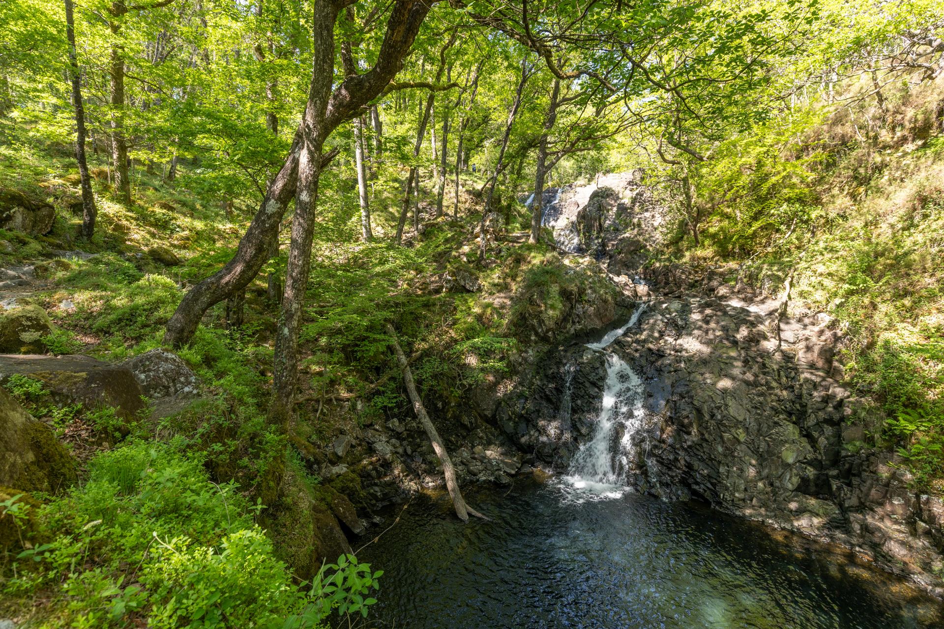Rhaeader Ddu waterfalls Dolmelynllyn (C) FSC/Ben Porter