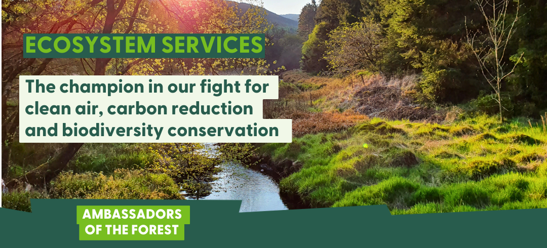 Ecosystem services: the champion in our fight for clean air, carbon reduction, and biodiversity conservation