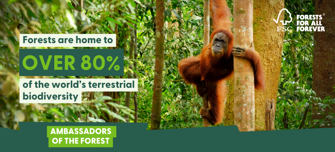Forests are home to over 80% if the world's biodiversity