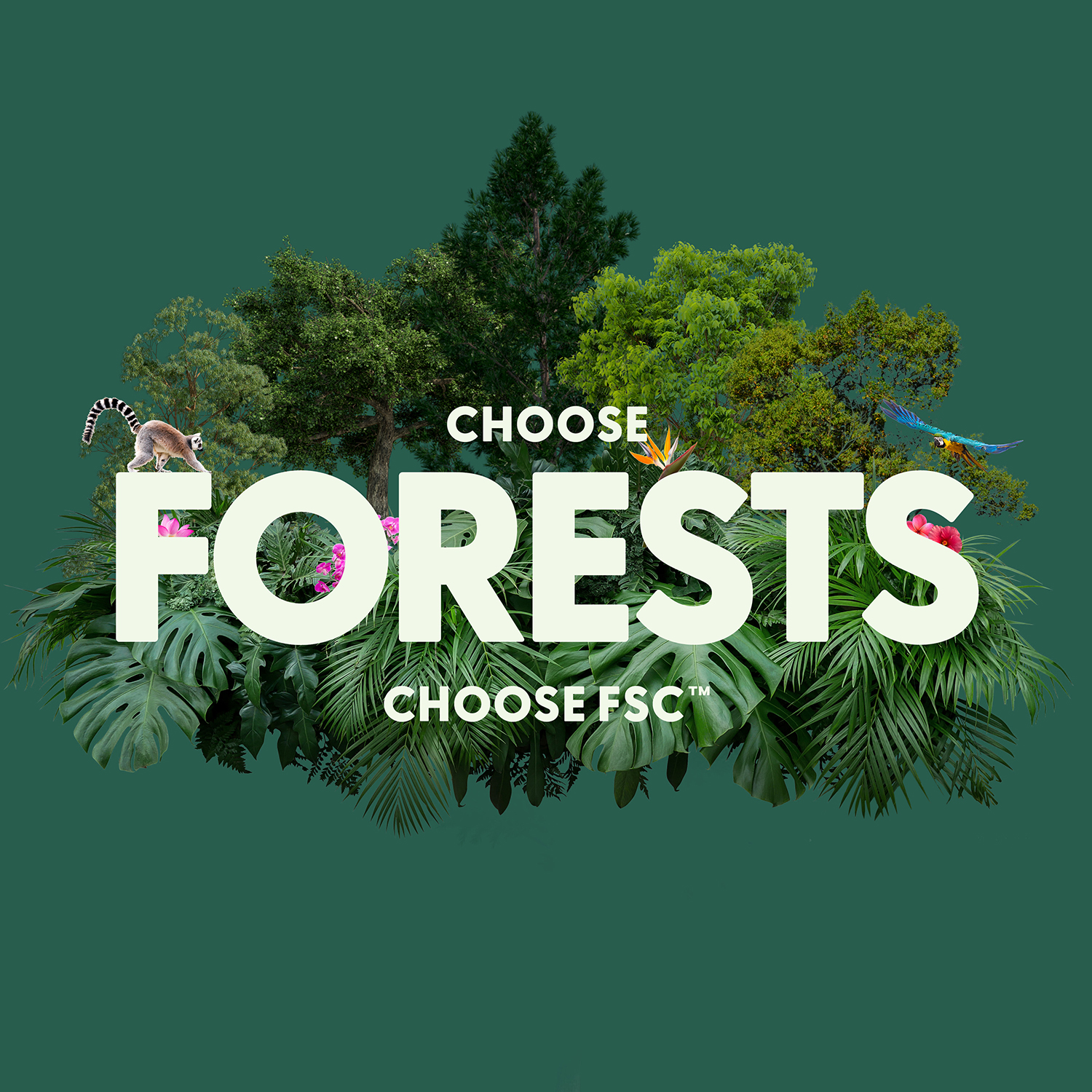 Choose Forests Choose FSC - Dark Background - FINAL.jpg