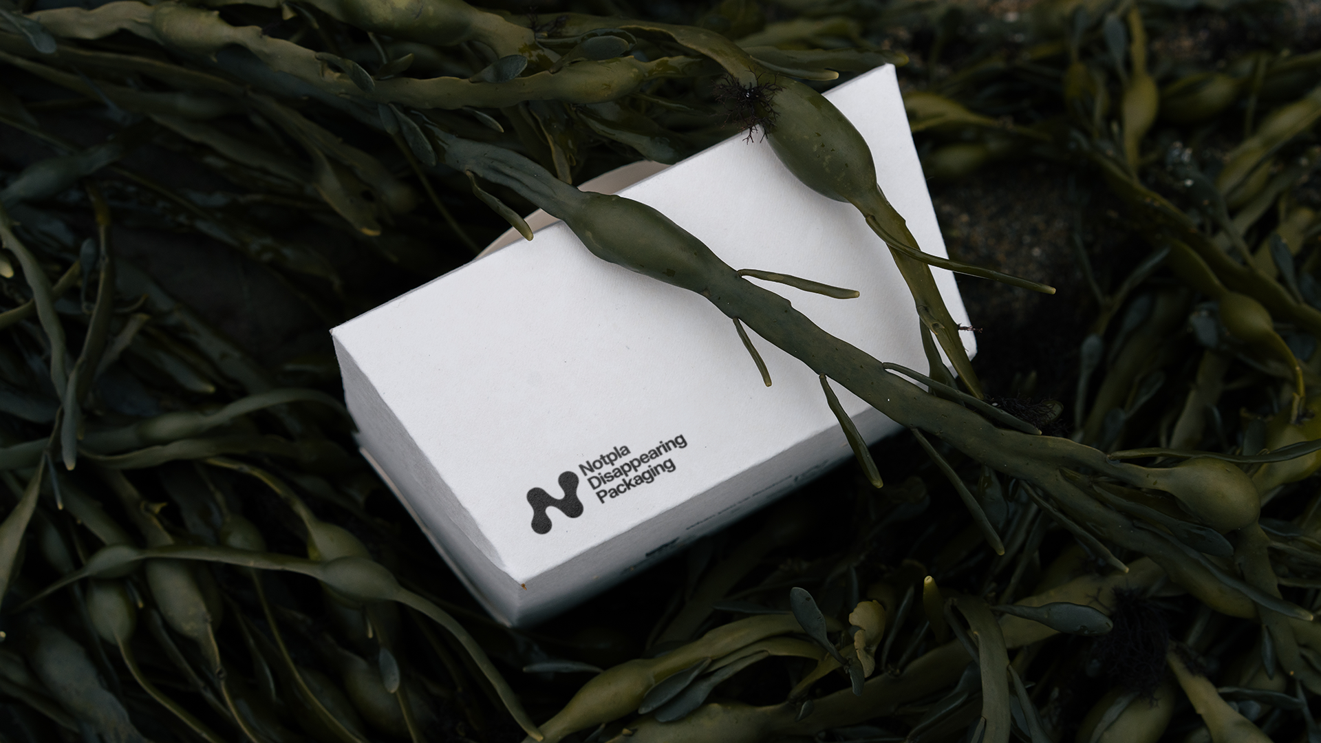 Seaweed packaging Notpla