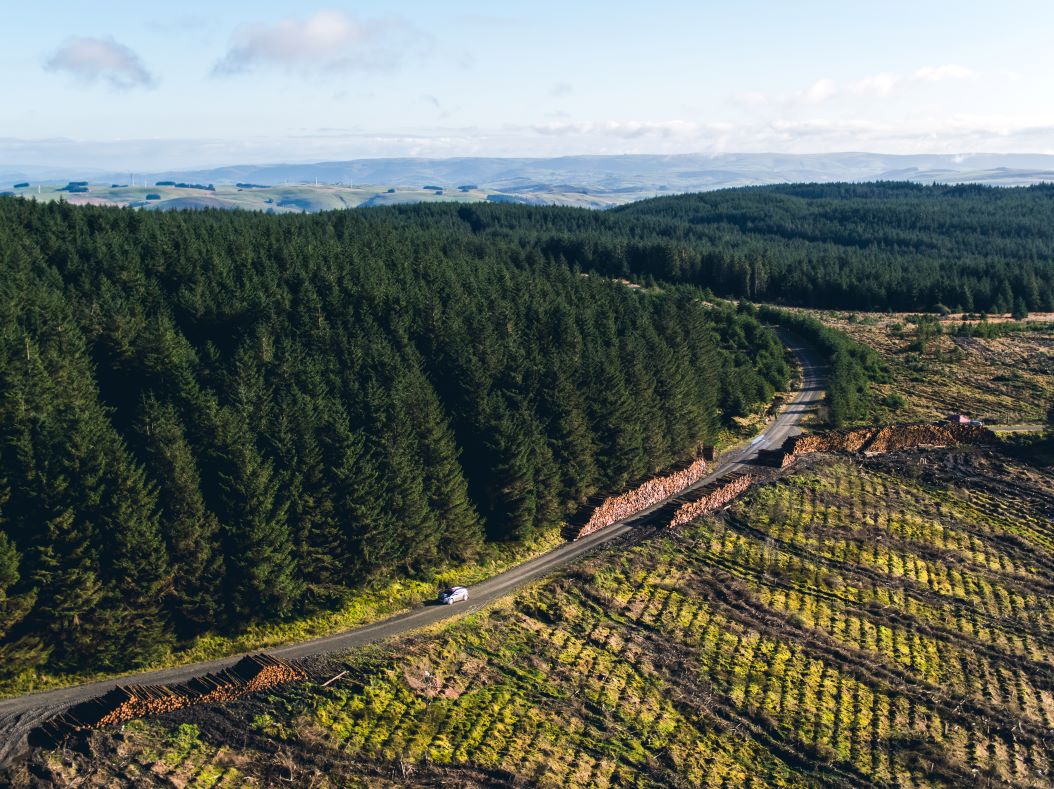 Natural Resources Wales