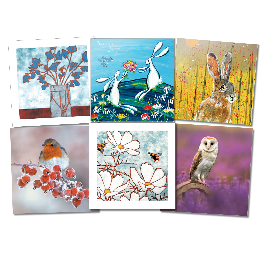 Eco friendly card co selection of cards