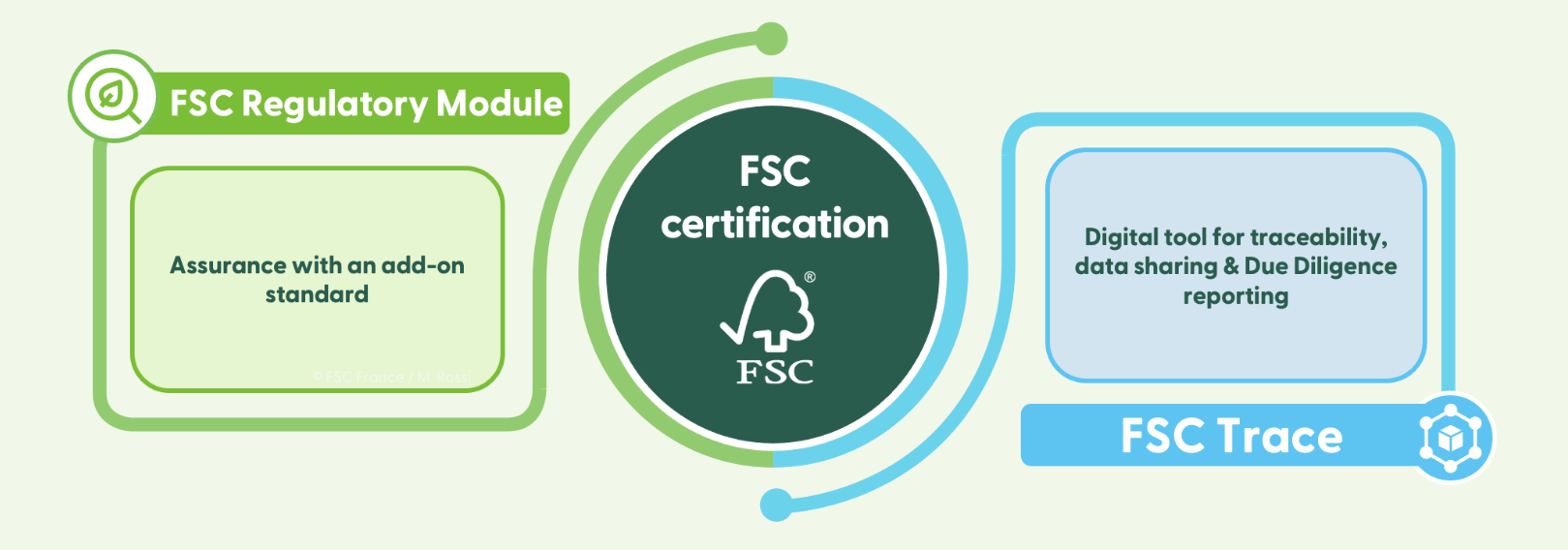 FSC certification for EUDR