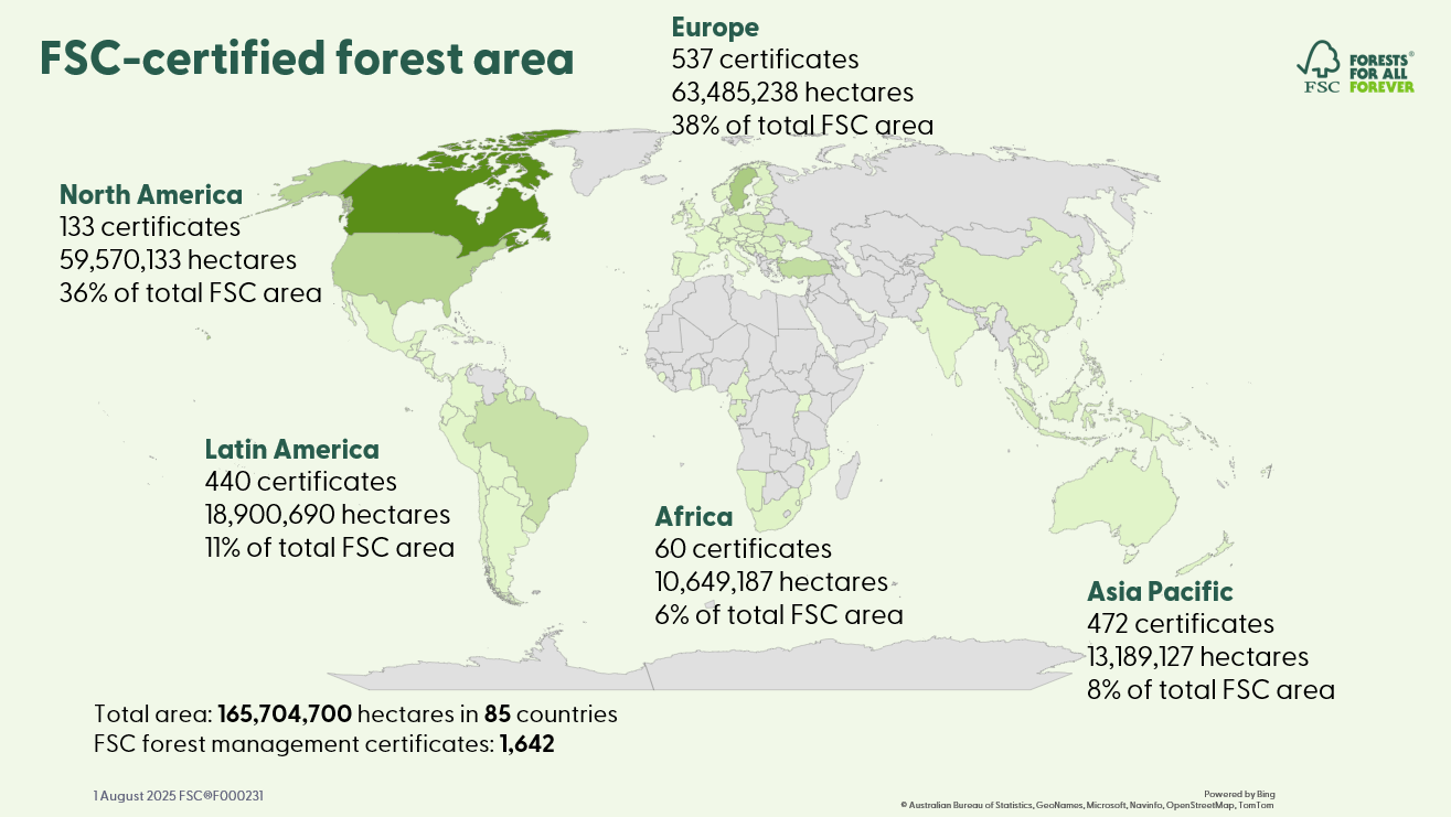 FSC-certified forest August 2025