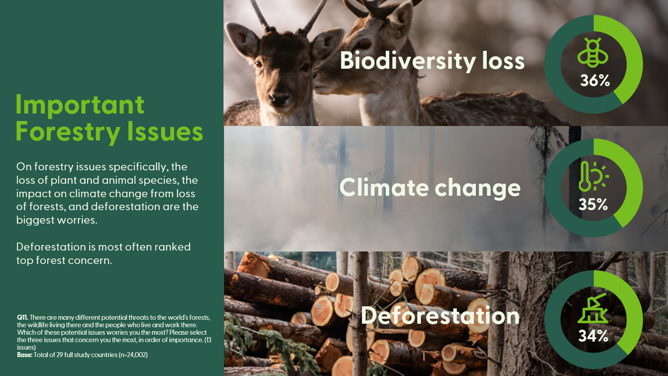 Important Forestry Issues: Biodiversity Loss, Climate change, deforestation.