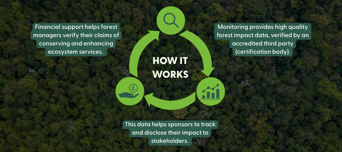 How FSC Verified Impact Works. 1. Financial support helps forest managers verify their claims of conserving and enhancing ecosystem services. 2. Monitoring provides high quality forest impact data, verified by an accredited third party. 3. This data helps sponsors to track and disclose the impacts of their investments to stakeholders.
