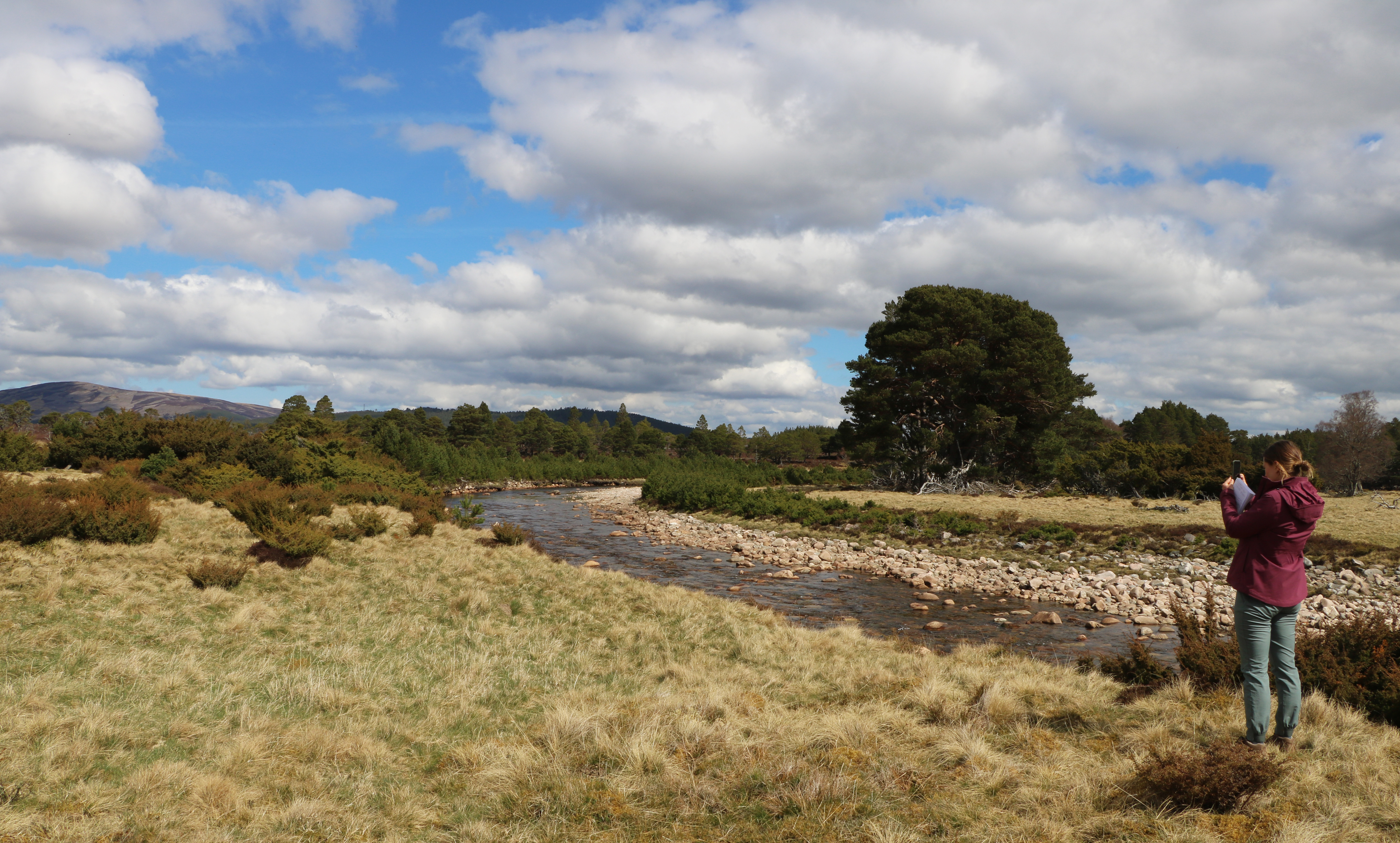 Strathspey estate fsc uk