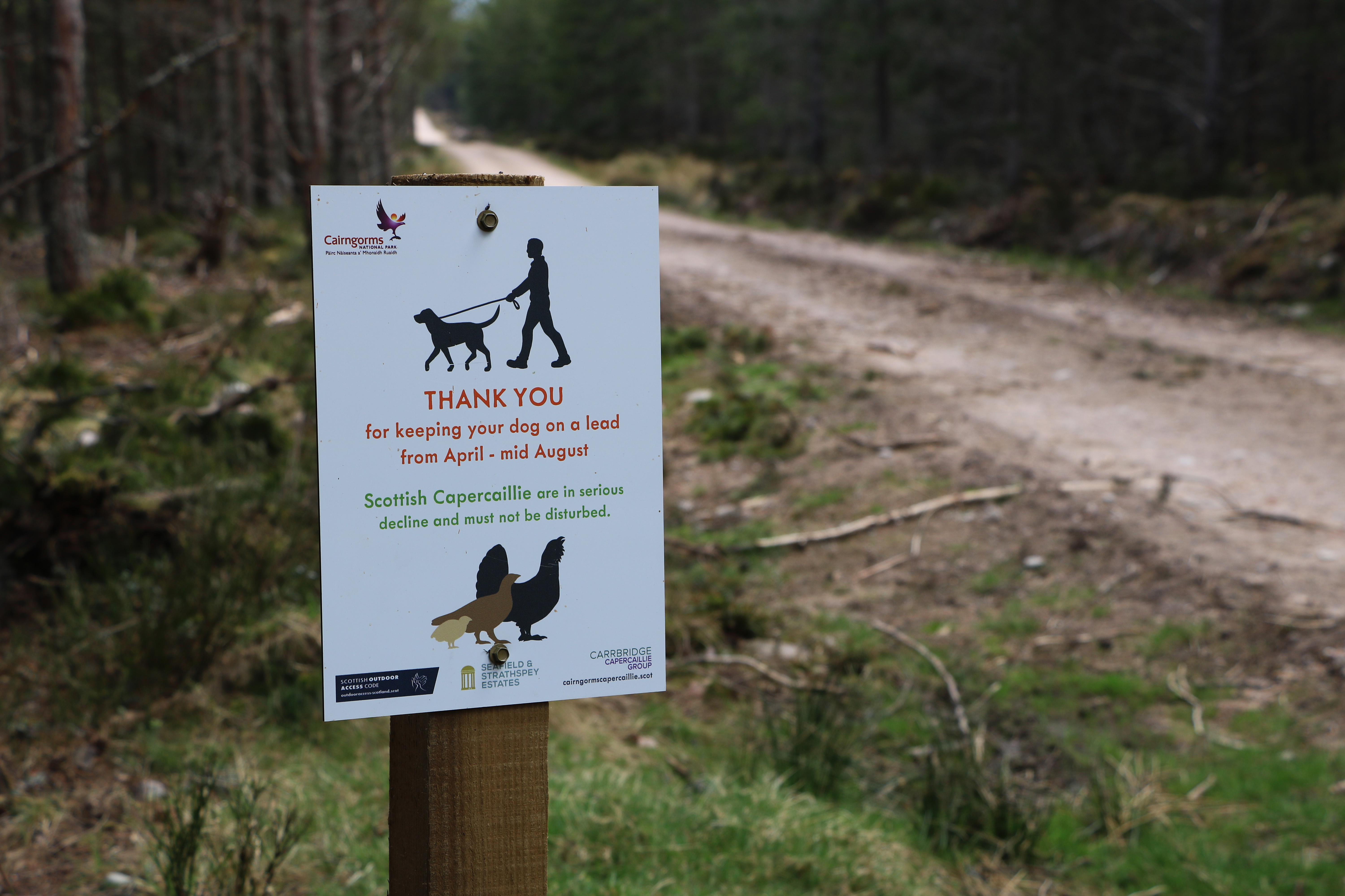 Strathspey estate fsc uk