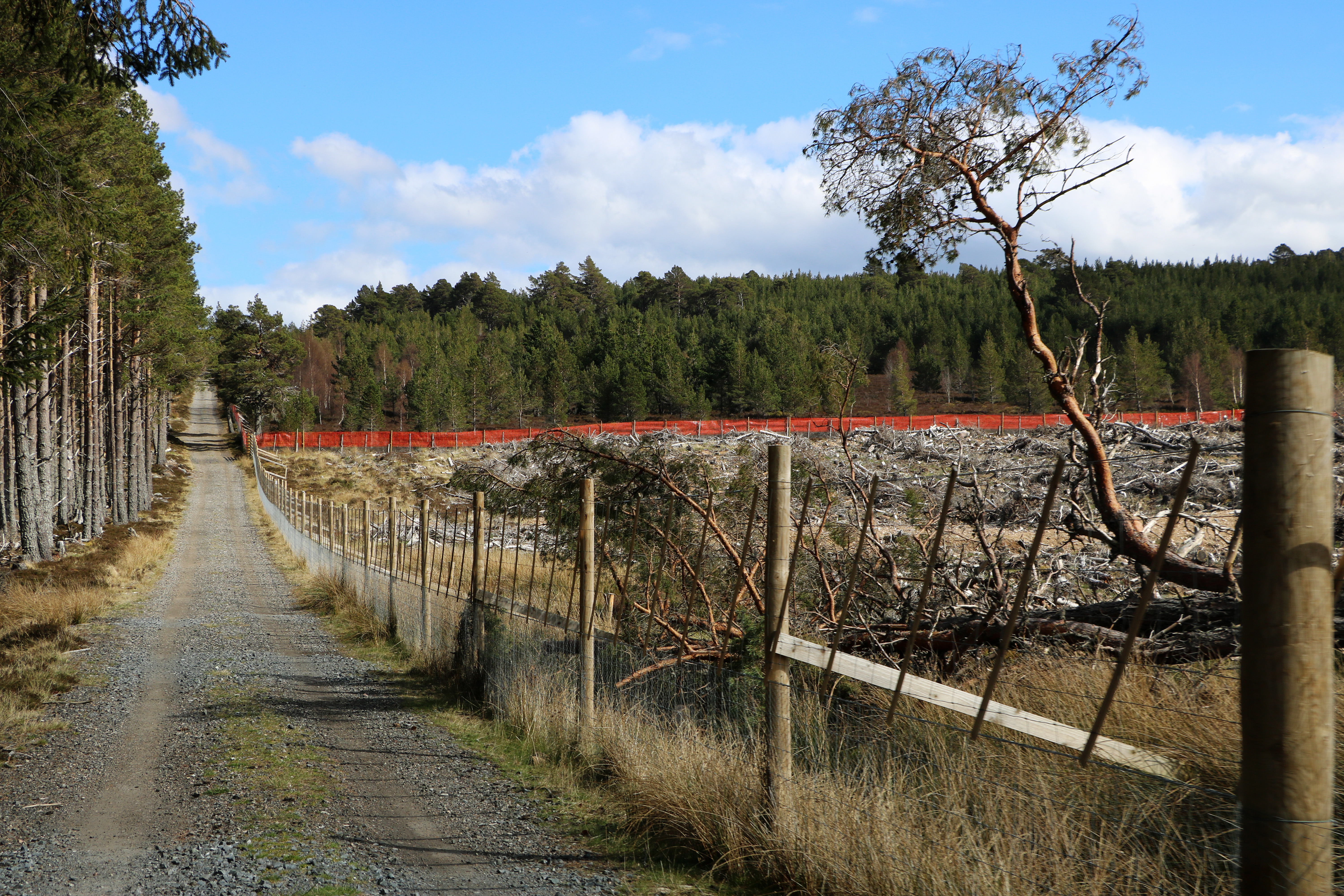 Strathspey estate fsc uk