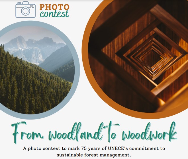 Image of UNECE photo contest flyer
