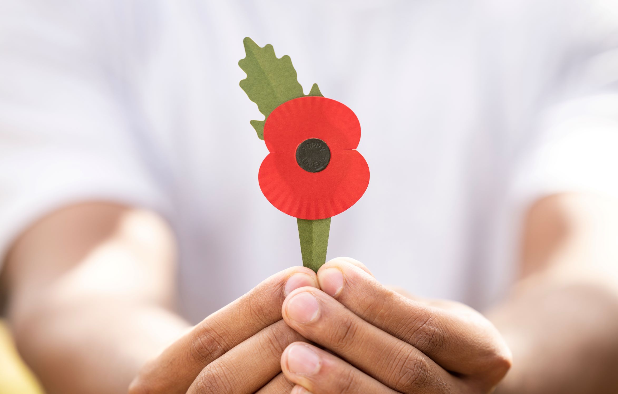 Royal British Legion poppy © James Cropper