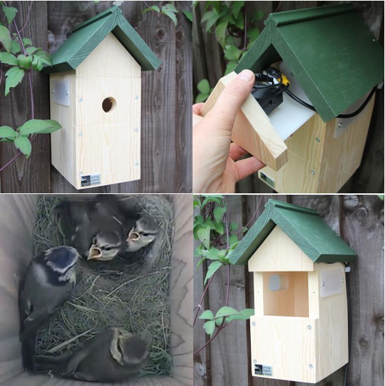Nest box with camera system