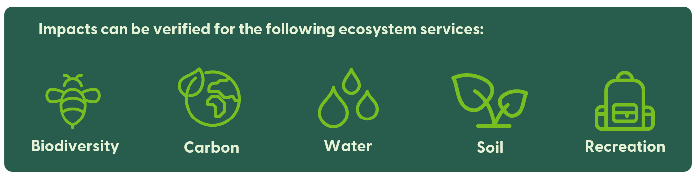 Impacts can be verified for the following ecosystem services: Biodiversity, Carbon, Water, Soil, Recreation