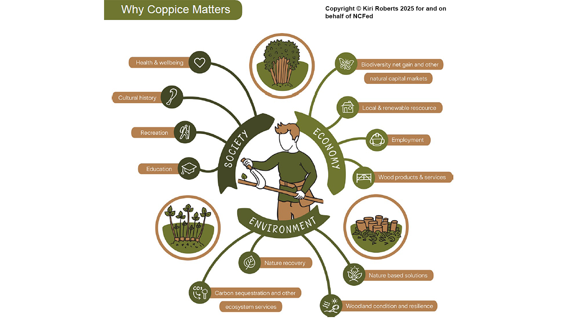 Why coppice matters 
