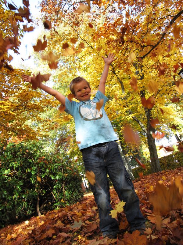 FSC UK forest education materials