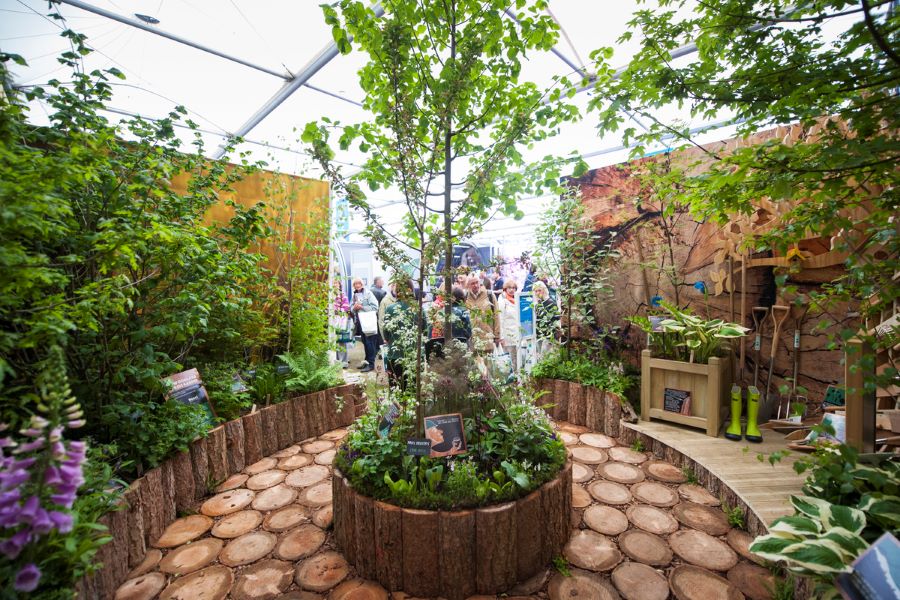 FSC UK RHS Chelsea Garden (c) Matt Crossick