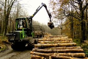 Wyre forest (c) FSC UK/C. Miller