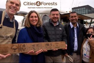 COP26 Partner Forest Program (c) Cities 4 Forests