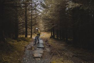 GrizedaleForest_Ambleside(c)Benjamin_Hugett_viaUnsplash.