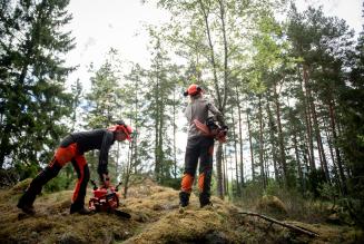 Forestry workers (C) FSC_Bablu Singh