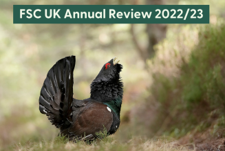 Annual review 2022 2023_Landscape.png