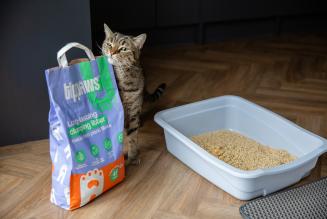 Cat with tippaws cat litter
