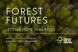 Forest Futures