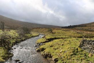 Snaizeholme Woodland Trust - River restoration