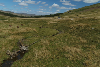 Snaizeholme (c) Woodland Trust