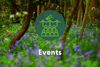 FSC UK newsfeed events