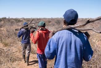 FSC-certified charcoal by Rectella