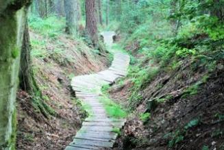 Dalby Forest