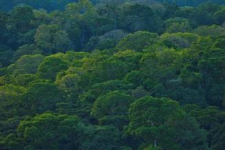 Borneo