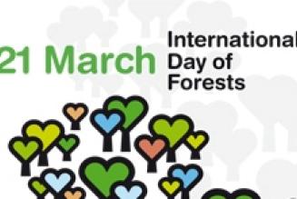 International Year of Forests Poster