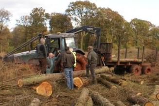 forest audit