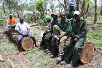 Kilimanyika
