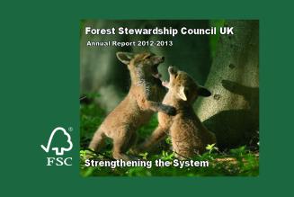 FSC UK Annual Report 2012-13
