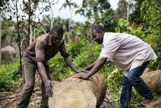 (c) Ollivier Girard for Center for International Forestry Research (CIFOR)