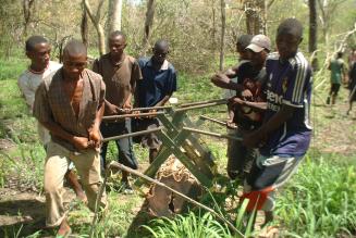 Mpingo harvesting