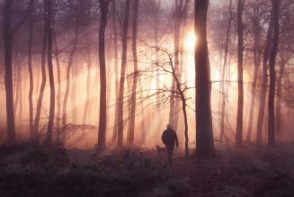 Places for People. Ceri Jones.