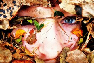2014 Photo competition results